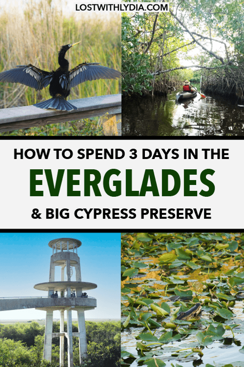 Use this Everglades itinerary to plan your perfect trip to Florida's largest national park! This guide has all of the details on how to spend 3 days in the Everglades and Big Cypress National Preserve.