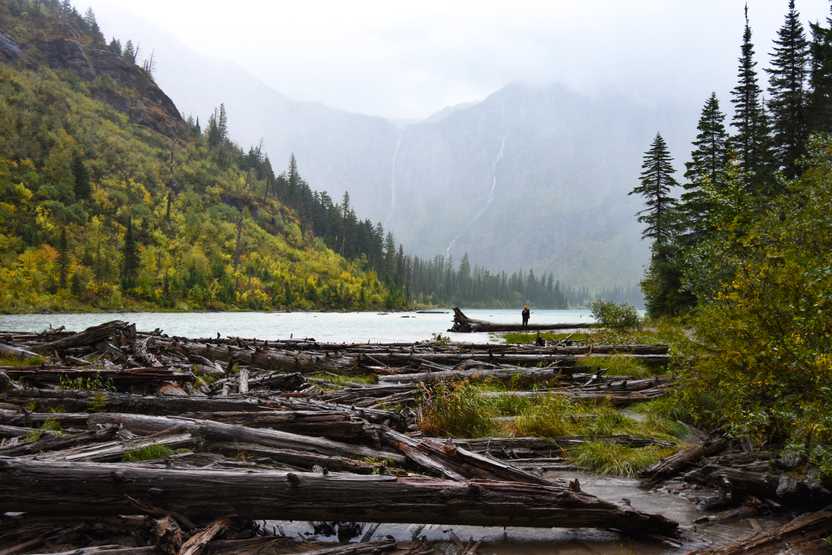 Several logs on top of a lake with tree-covered hills in the background. The sky is foggy and eerie.