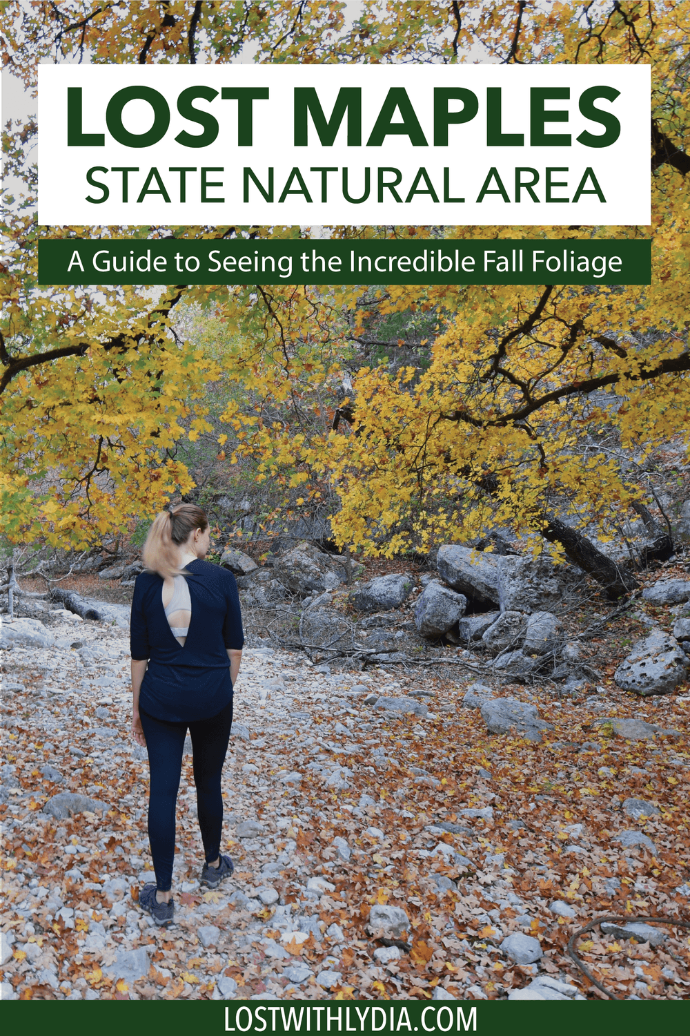 Experience the best fall foliage in Texas at Lost Maples State Park! Lost Maples has wonderful trails and is the perfect Texas Hill Country destination to visit in the fall!