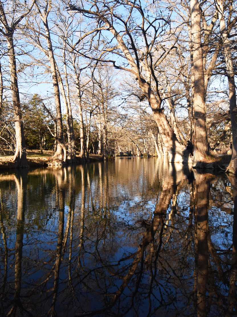 Blue water surrounded by trees at the Blue Hole Regional Park.