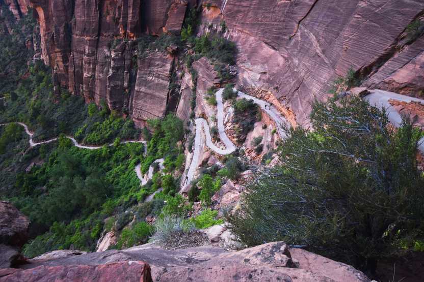 A photo of switchbacks leading to the Angel's Landing hike in Zion National Park.