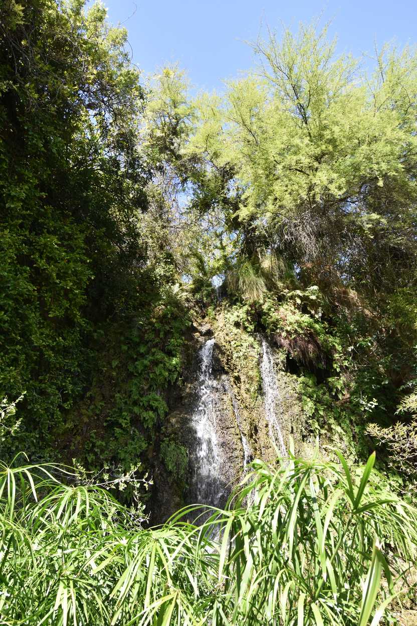 A waterfall behind some greenery at the Japanese Tea Garden.