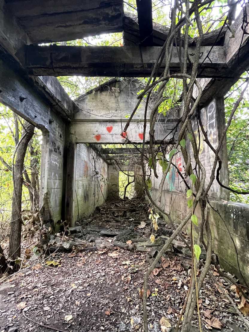 Inside some ruins at the Thurmond Ghost town. There are some vines and some graffiti.