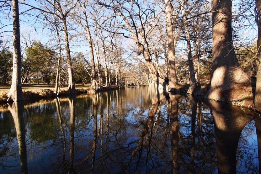 A view of the water surrounding by cypress trees at Blue Hole Regional Park.