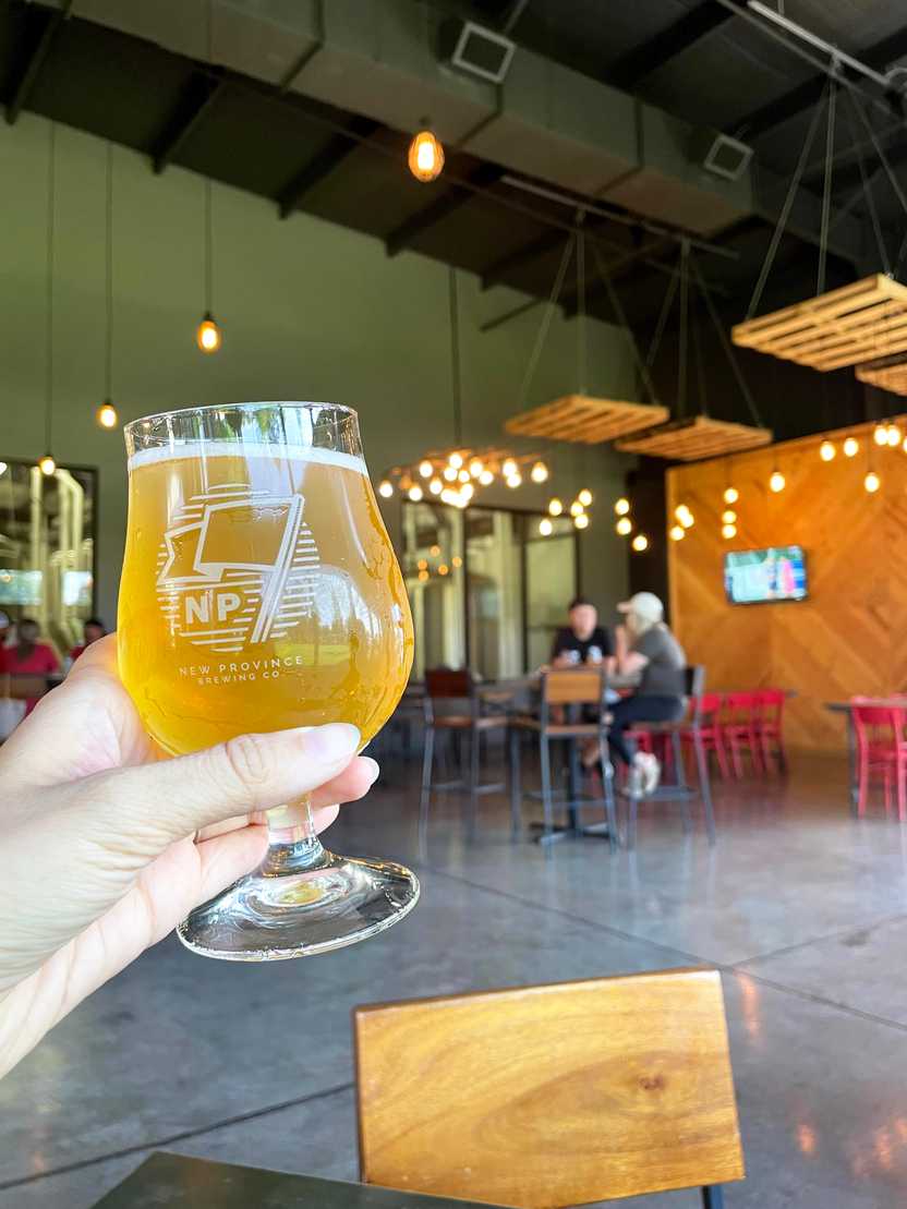 A glass of golden colored beer inside of New Province Brewing.
