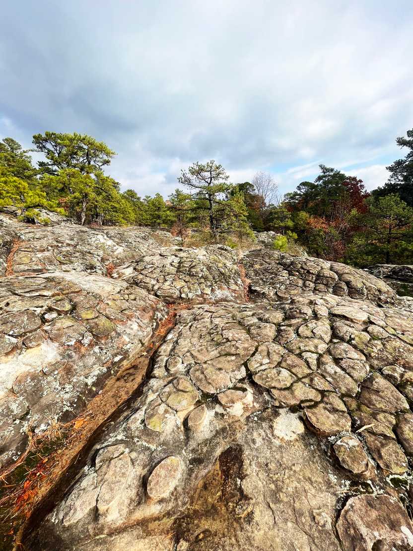 An area of textured rocks that resemble the shells of a turtle.