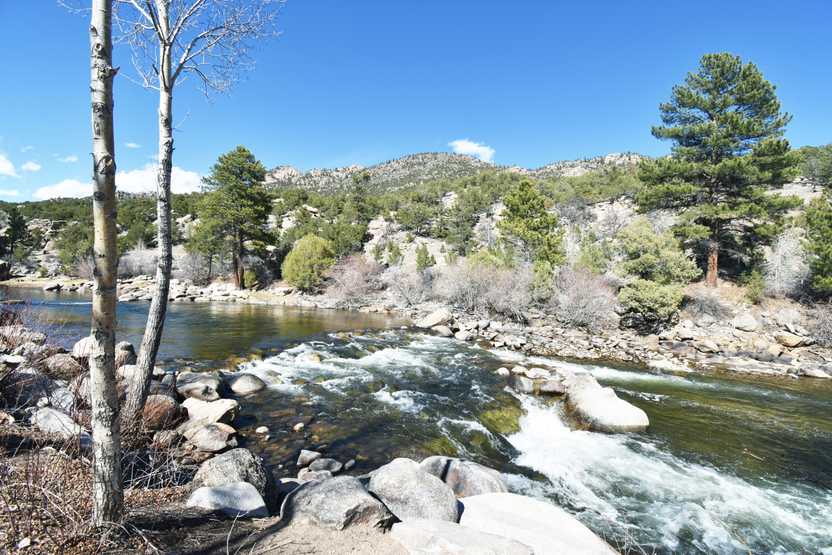 A view of the river in Buena Vista. There are some rapids as the water goes over rocks.