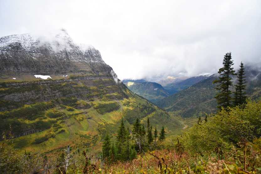 A view from the Highline Trail. There is a mountain covered in greenery and fog in the background.