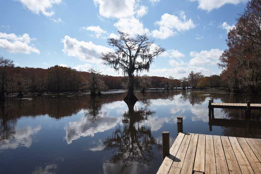 Looking at a couple docks on the water of Caddo Lake. Looking at a couple docks on the water of Caddo Lake.