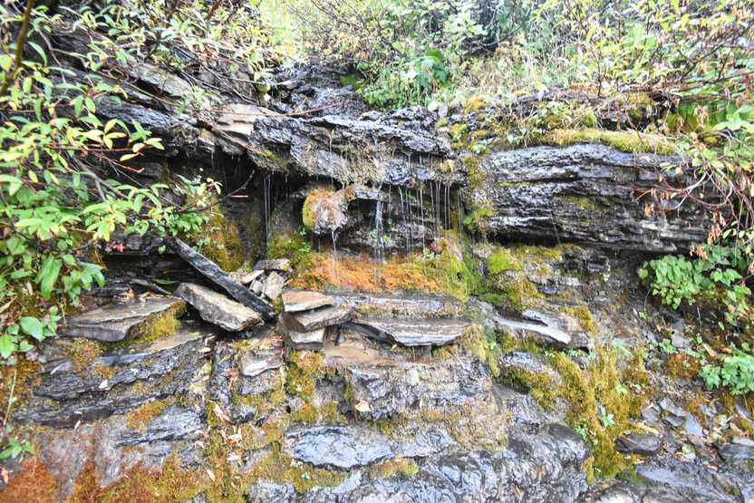 Water trickling down a rock face right next to the Highline trail.