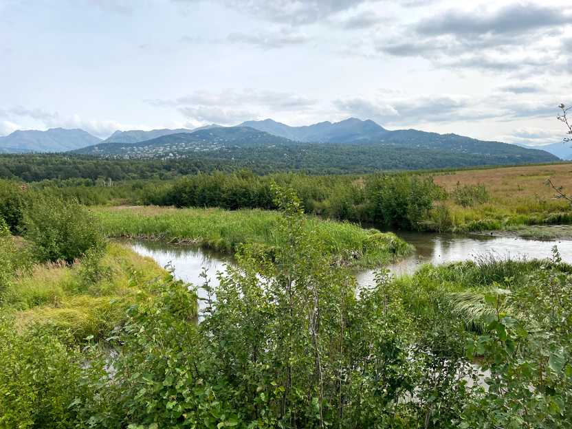 An area of greenery and water with mountains in the distance.