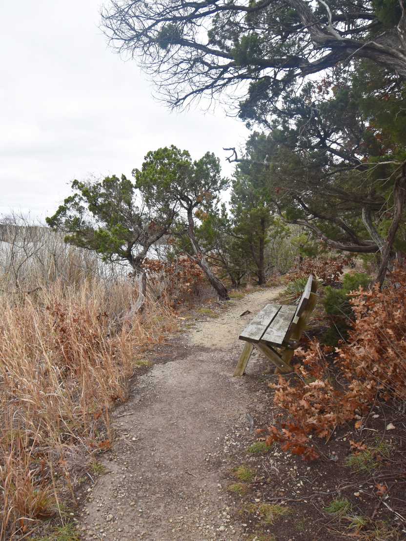 A bench along a trail in Cleburne State Park A bench along a trail in Cleburne State Park