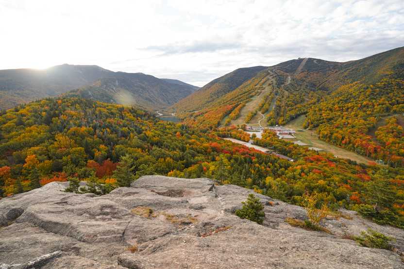 A view of some rolling hills, a grassy area and many trees with colorful foliage.