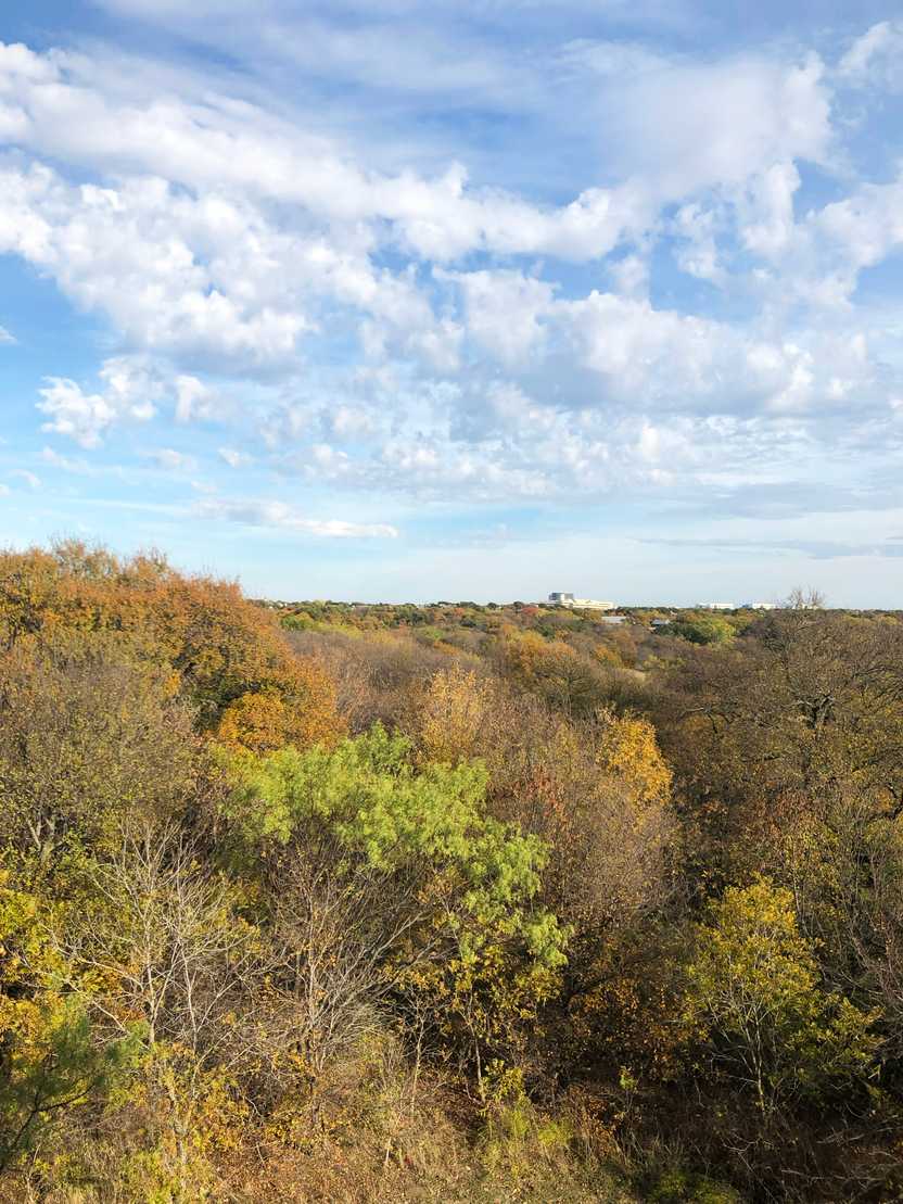 A view of orange foliage at Arbor Hills.