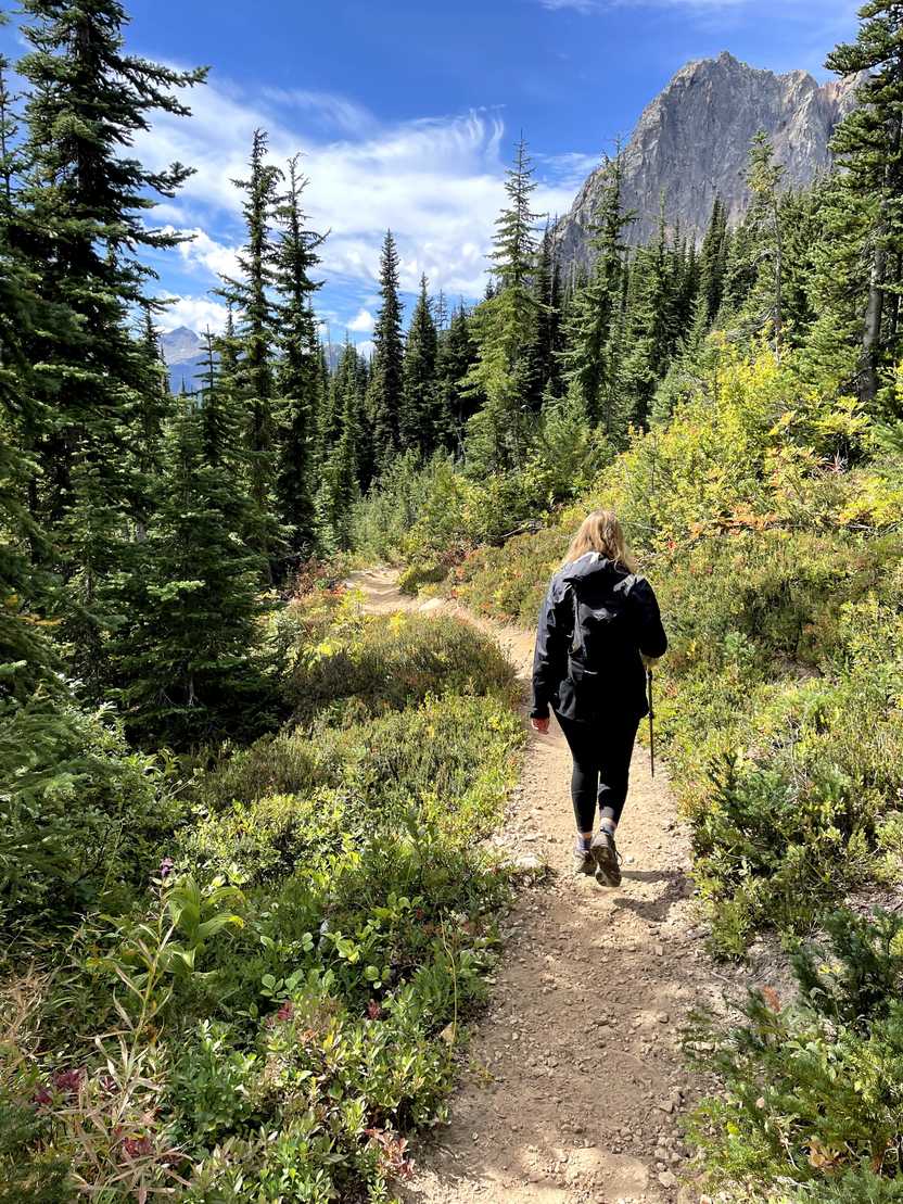 Lydia with her back to the camera while hiking a trail in Washington. She is wearing black with a black backpack and has a trekking pole. Lydia with her back to the camera while hiking a trail in Washington. She is wearing black with a black backpack and has a trekking pole.