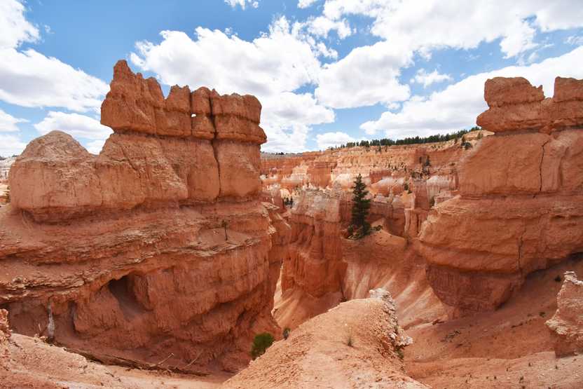 Some uniquely shaped rocks on the Queen's Garden Trail. There are large orange rock faces in every direction.