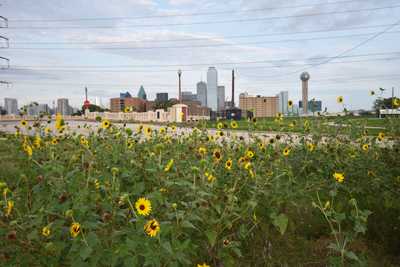 Top 10 Things To Do in Dallas, Texas (From a Local!): Cute Neighborhoods, Outdoor Experiences & More