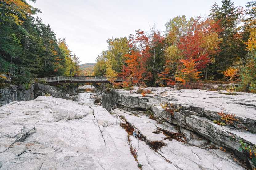 A gorge area with white rocks. There are trees with colorful foliage on both sides of the gorge. A walking bridge crosses the gorge.