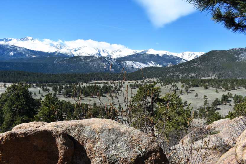 A valley with green trees and a snow capped mountain in the background.