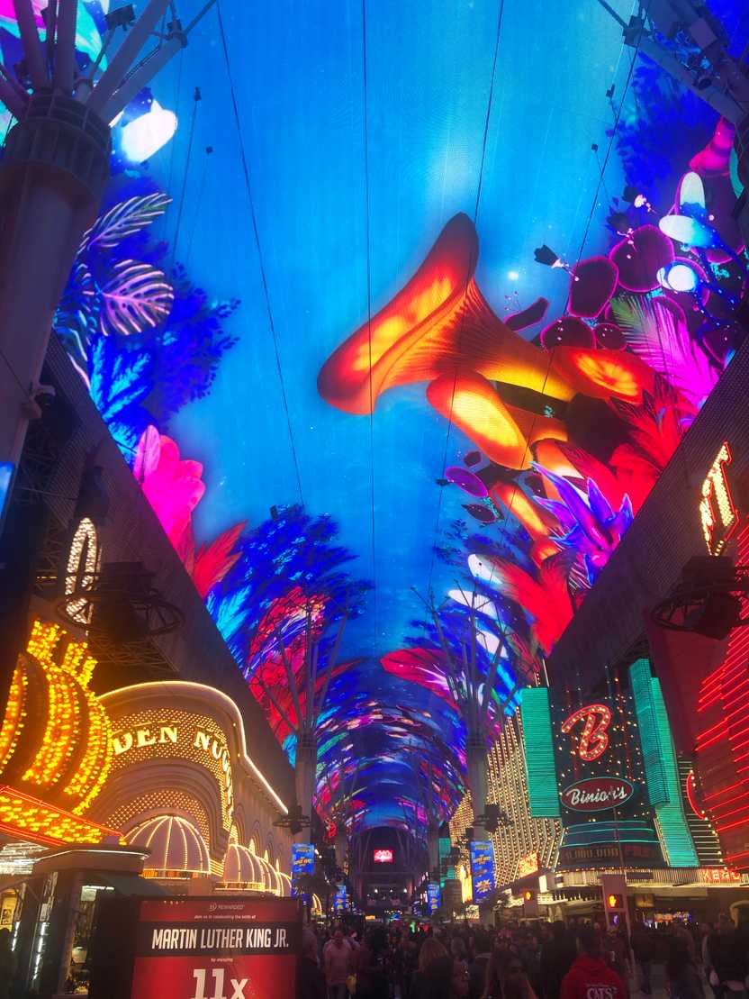 The digital roof creating a colorful scene with florals on Fremont Street.