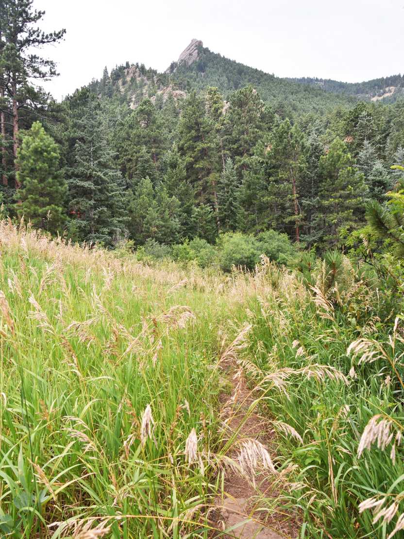 A trail through a lush, green meadow at Chautauqua Park