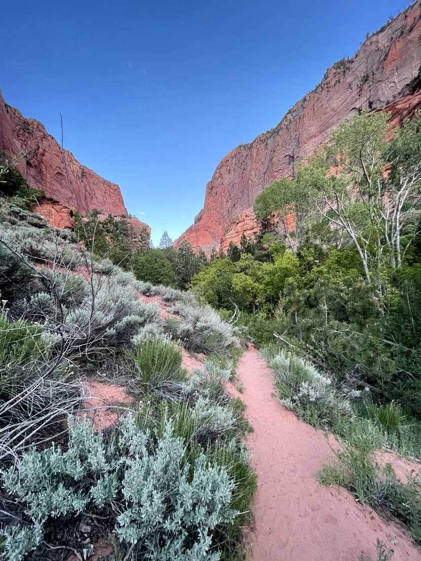 A path of sand with greenery and trees. You can see orange cliffs in the distance. A path of sand with greenery and trees. You can see orange cliffs in the distance.