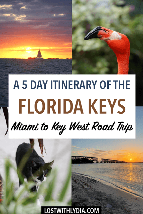 Plan your Florida Keys road trip with this guide! This blog shares a 5 day Florida Keys itinerary for exploring both the Upper Keys and Key West.
