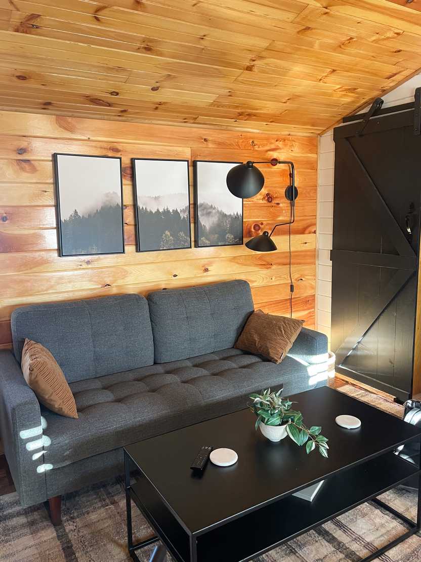 The interior of the Boone's Bluff cabin. There is a couch, wood paneling on the walls and artwork resembling mountains.