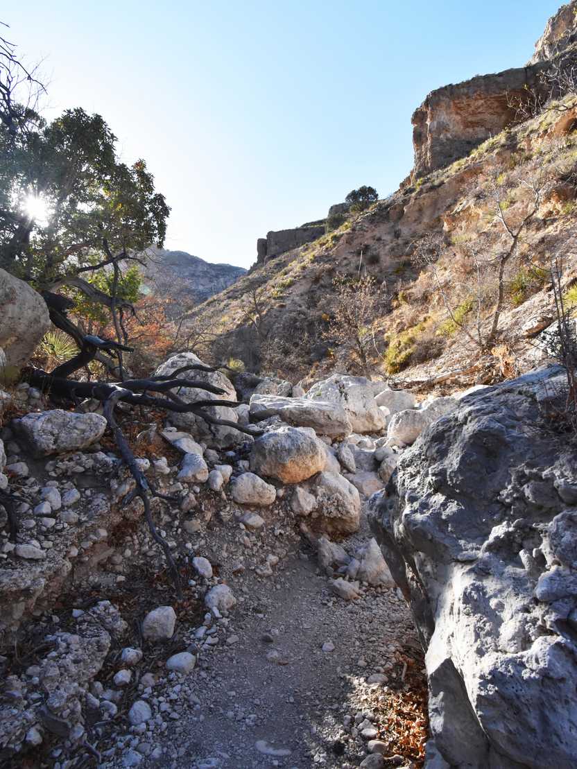 The wash on the Devil's Hall trail.