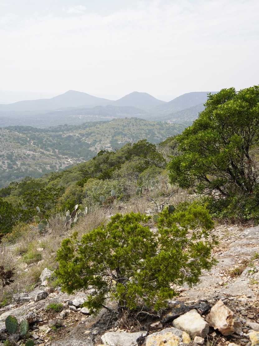 A view of Texas Hill Country with lots of greenery and hills in the distance.