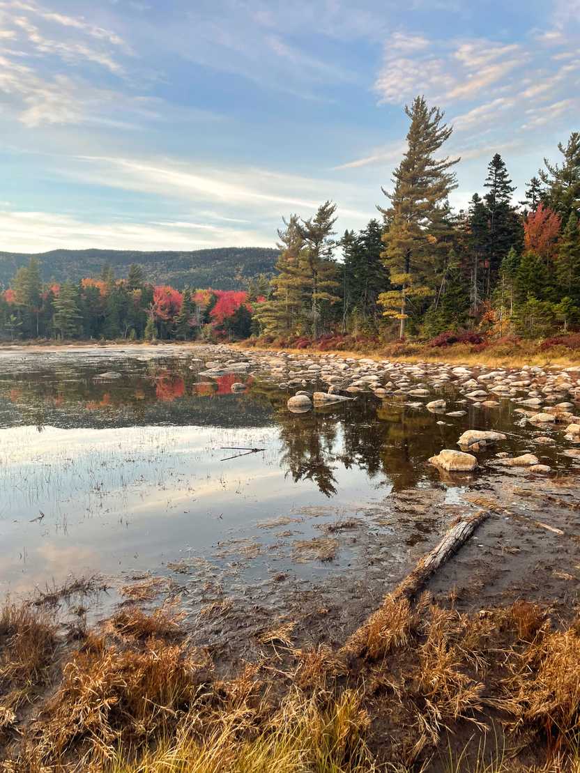 A small lake with a reflection of trees.