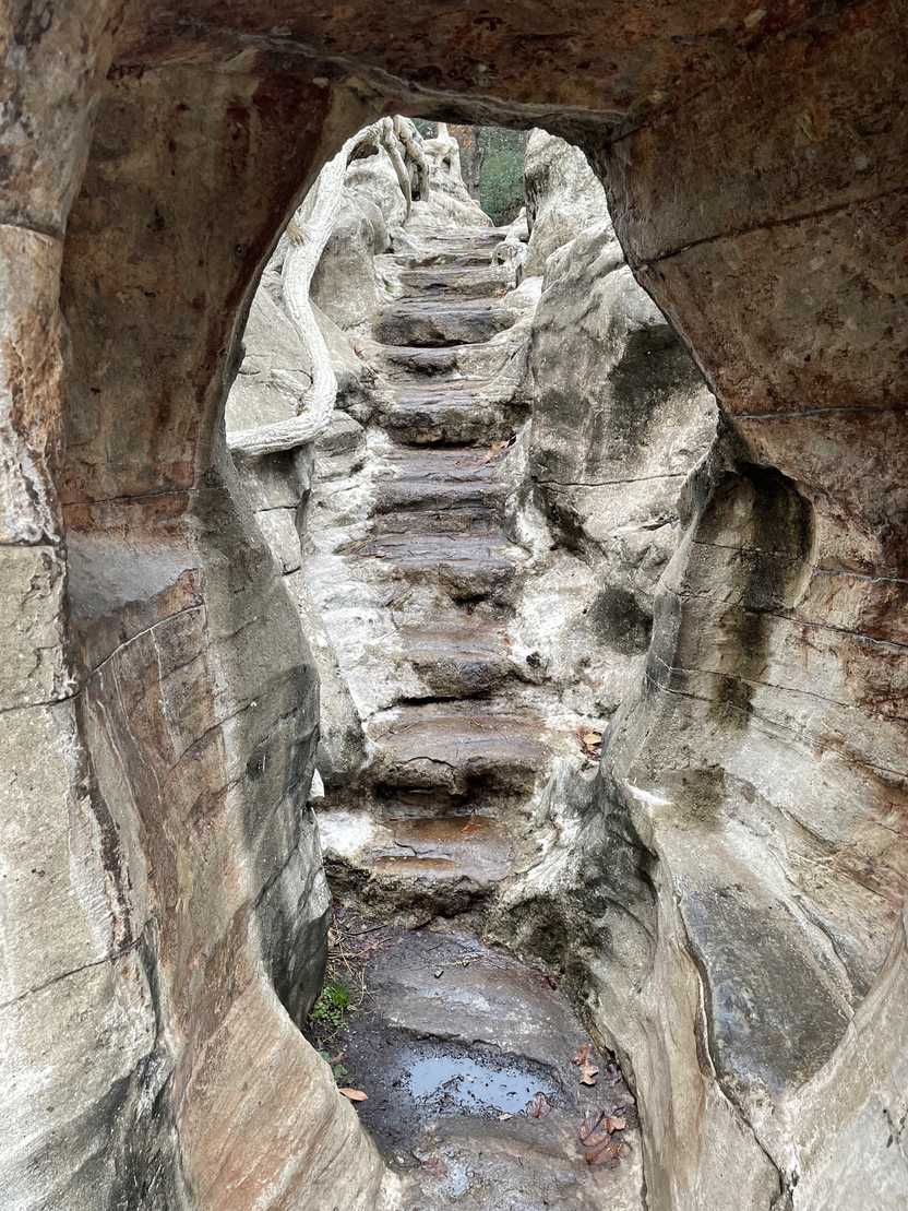 One of the bridges crossing the water near the Old Mill. There is a tunnel made of white material that leads to some steps. One of the bridges crossing the water near the Old Mill. There is a tunnel made of white material that leads to some steps.