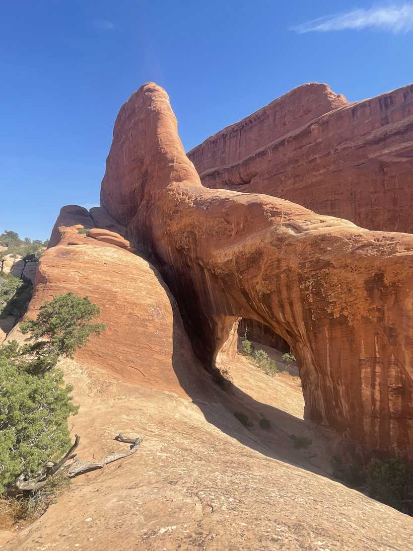 The Private Arch on the Devil's Garden trail.