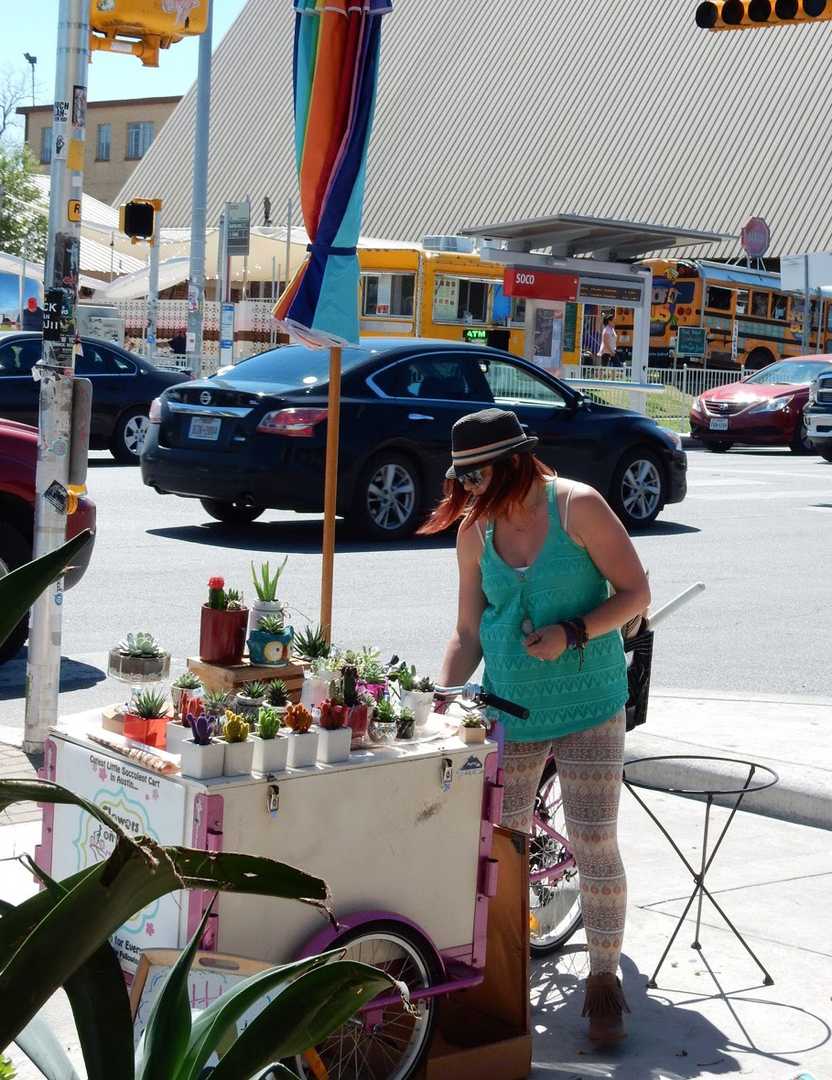 A cart with cacti for sale in SoCo