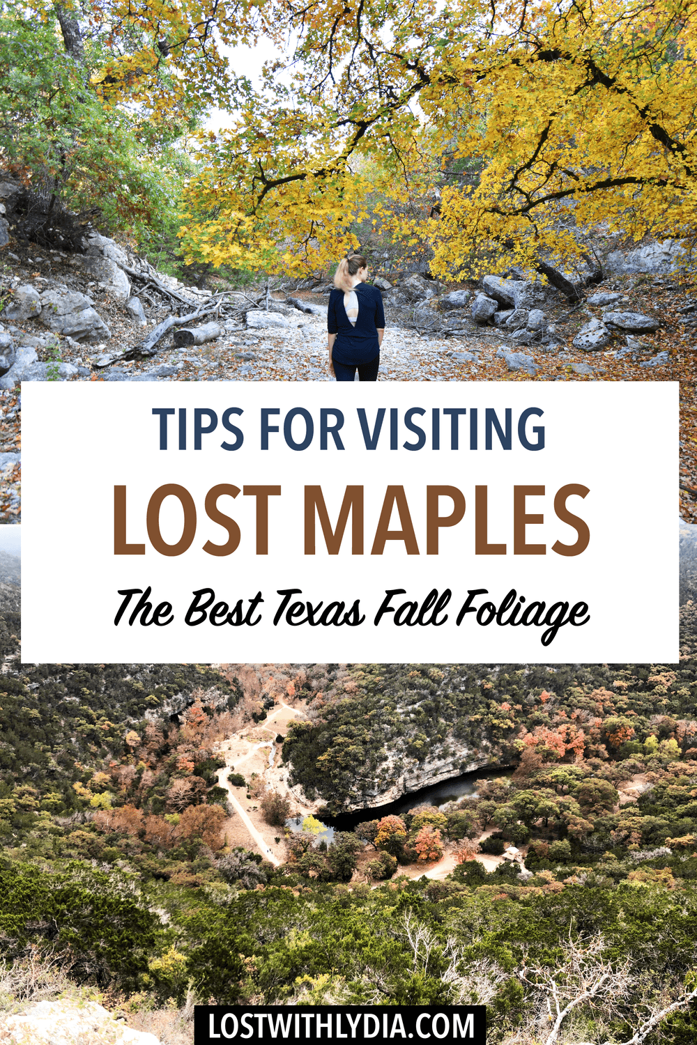 Experience the best fall foliage in Texas at Lost Maples State Park! Lost Maples has wonderful trails and is the perfect Texas Hill Country destination to visit in the fall!