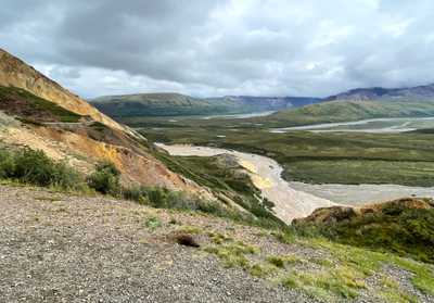 A Guide to the Denali Transit Bus: Comparing the Transit Bus and the Narrated Tour Bus