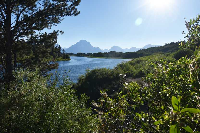 A large river with a slight bend and the Grand Teton Mountain range in the distance.