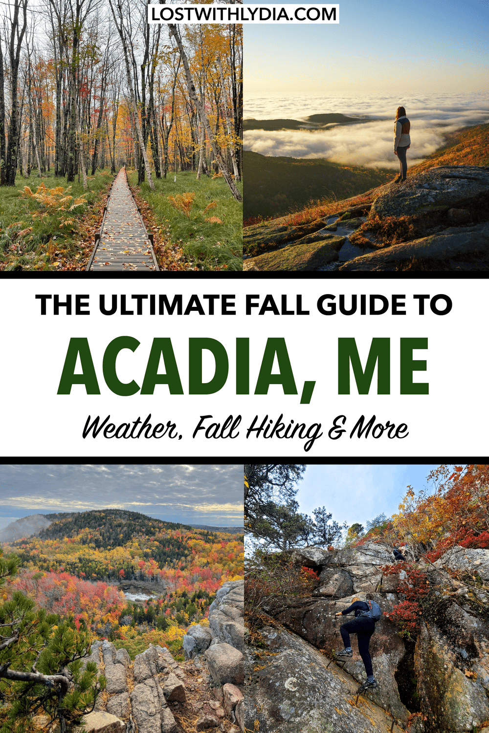 If you are thinking about visiting Acadia National Park in the fall, you’re in the right place! Acadia is one of the best places for hiking…