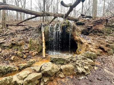 The Best Hiking Trails in Yellow Springs, Ohio