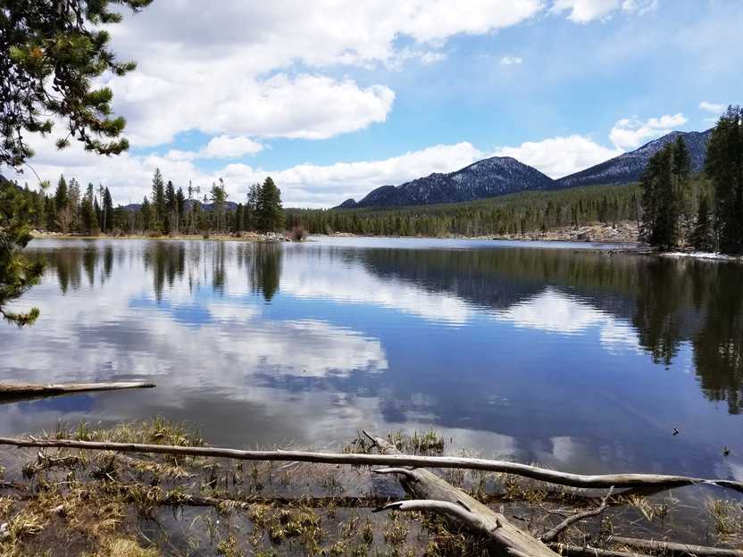 A large lake with trees reflecting in the water. There is a mountain in the distance.