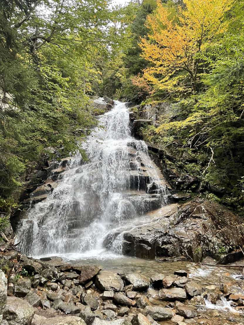 A tall waterfall with a bit of yellow foliage next to it.