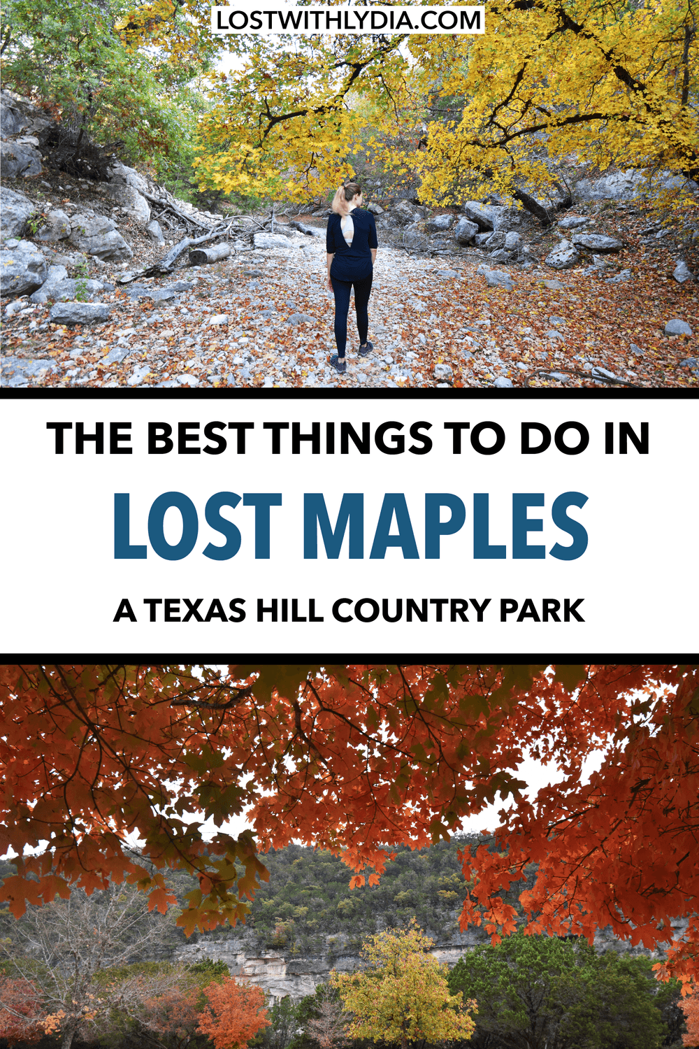 Experience the best fall foliage in Texas at Lost Maples State Park! Lost Maples has wonderful trails and is the perfect Texas Hill Country destination to visit in the fall!