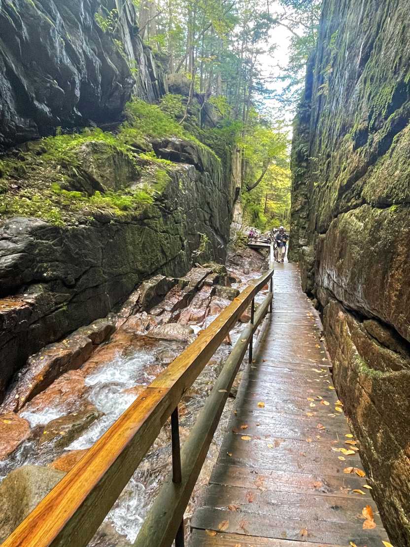 A trail next to a tall rock face in the Flume Gorge.