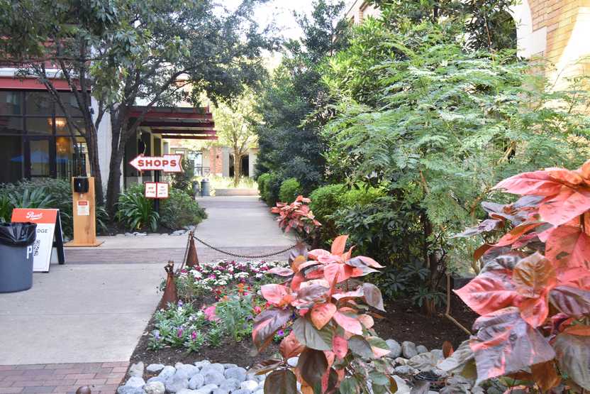 A pathway with bushes and pink leaves next to it. There is an arrow that reads 'Shops'