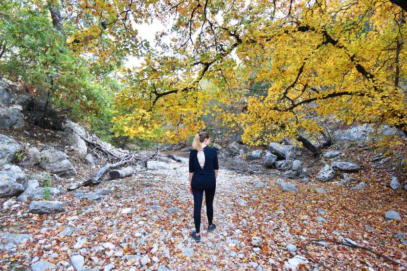 Lydia standing on a trail in Lost Maples State Park. A tree with yellow leaves hangs down from above and there are orange leaves on the ground.