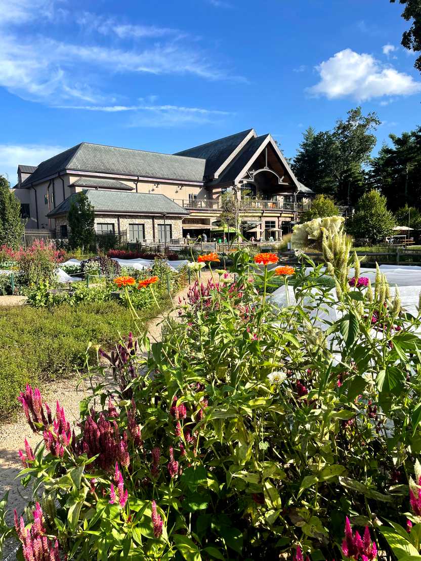 Beautiful flowers with the Sierra Nevada Brewery in the background.